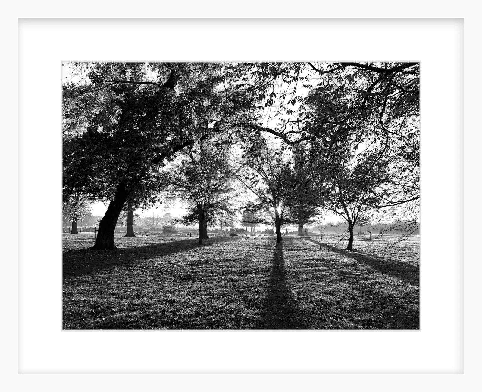 Long Shadows - 12" x 16" white.jpg