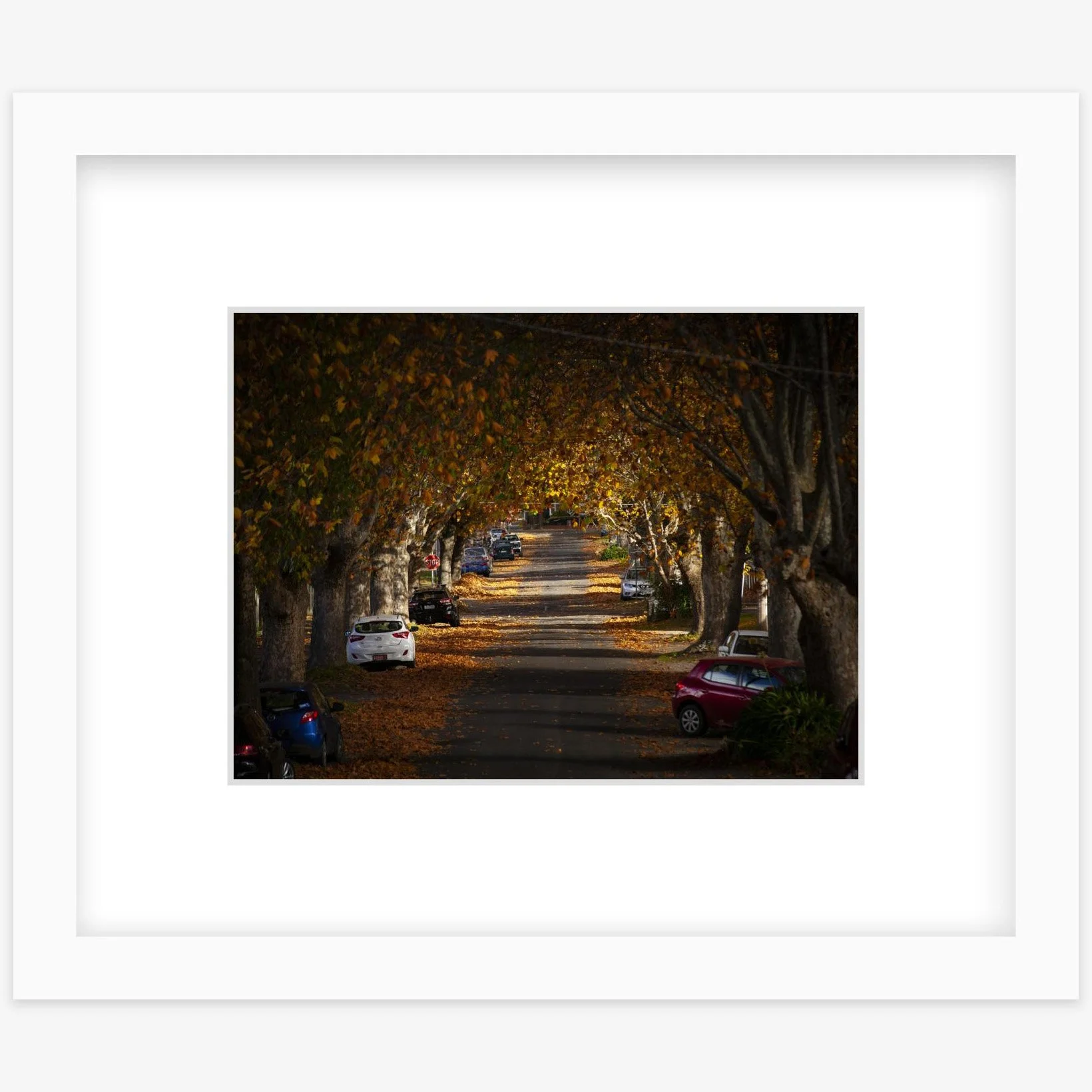 Autumn in Frank St - 6" x 8" Lenin skinny - square.jpg
