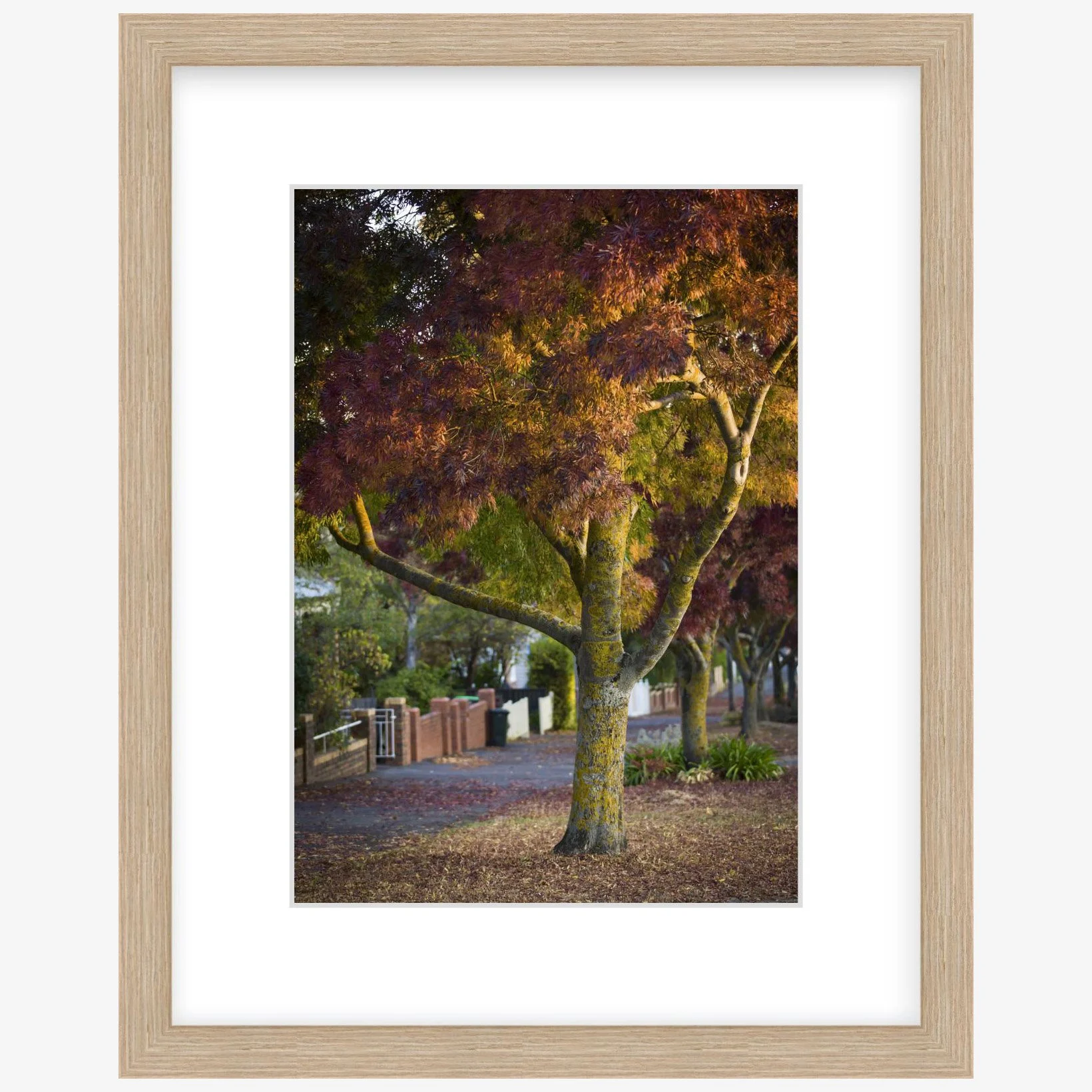 Lydiard St Nth - 210mm x 297mm wood - square.jpg
