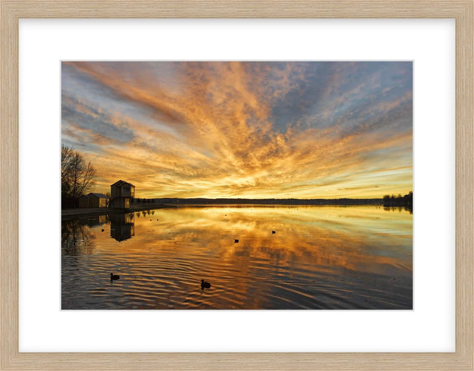 Lake Wendouree sunrise - 297mm x 420mm wood.jpg