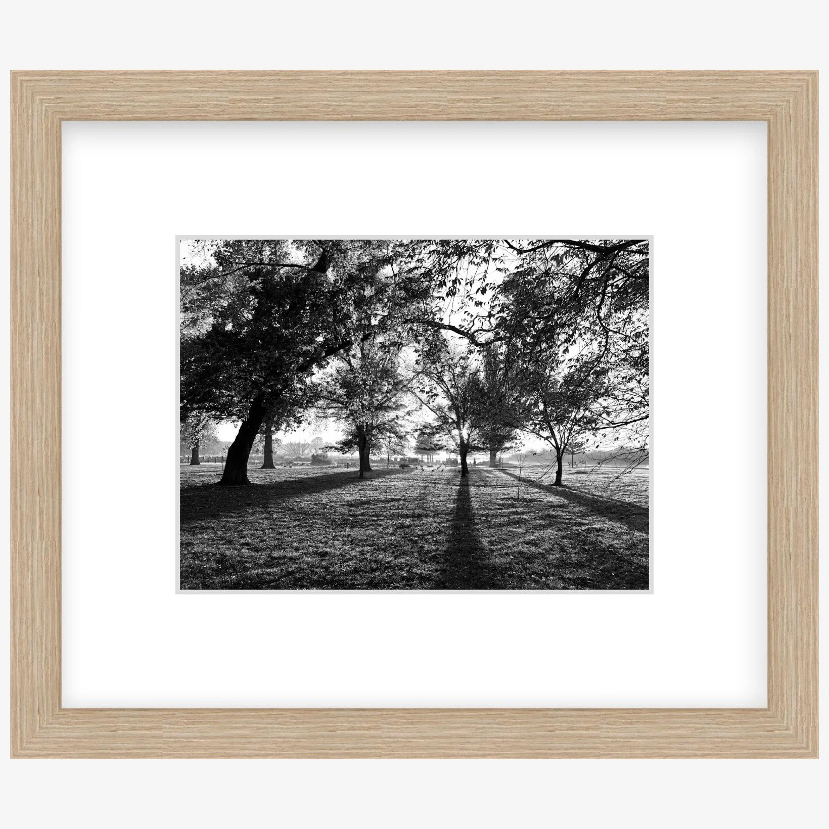 Long Shadows - 6" x 8" wood - square.jpg