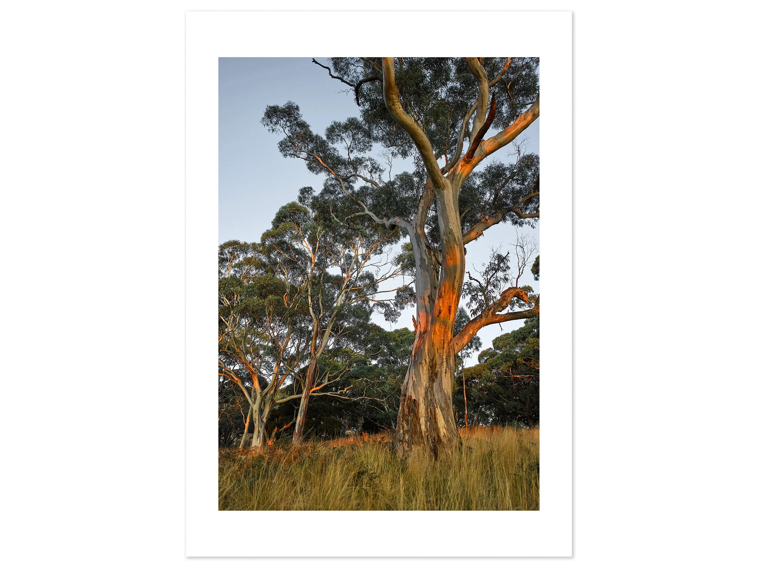 Mt Buninyong at dusk 03 (A2) for web.jpg