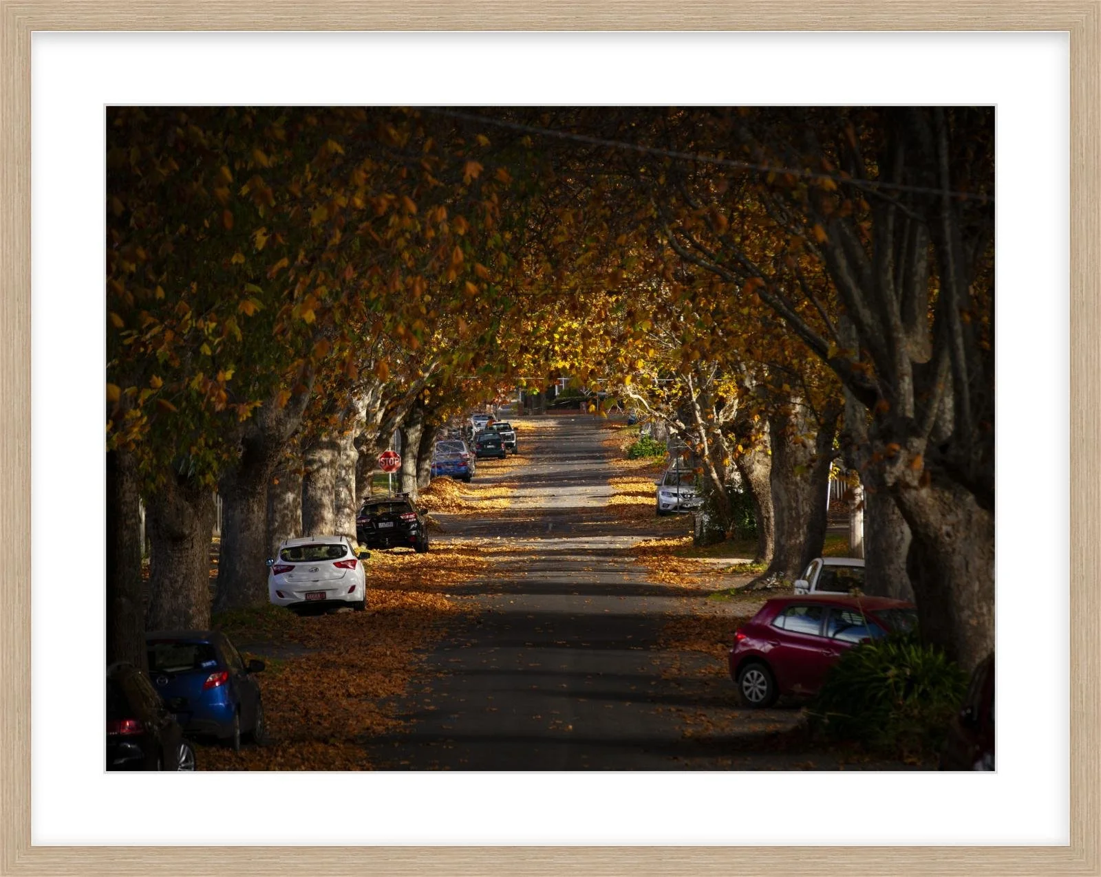 Autumn in Frank St - 18" x 24" wood.jpg