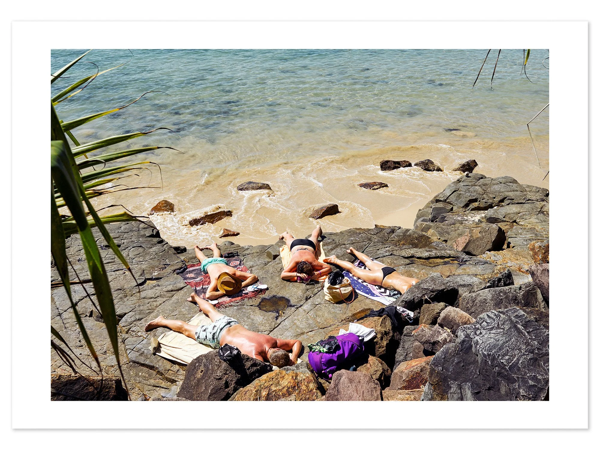 Noosa Sunbathers (A0) for web.jpg