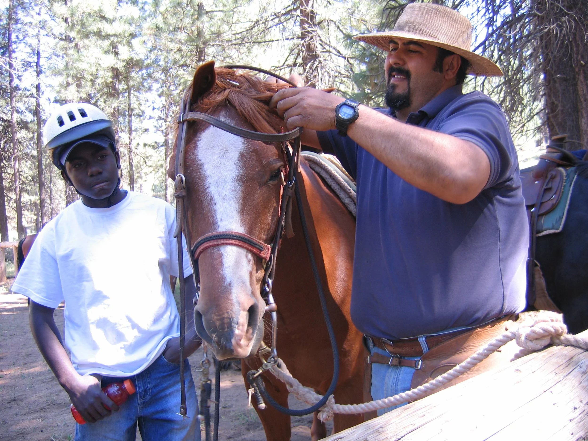 The Horse Program RETURNS!