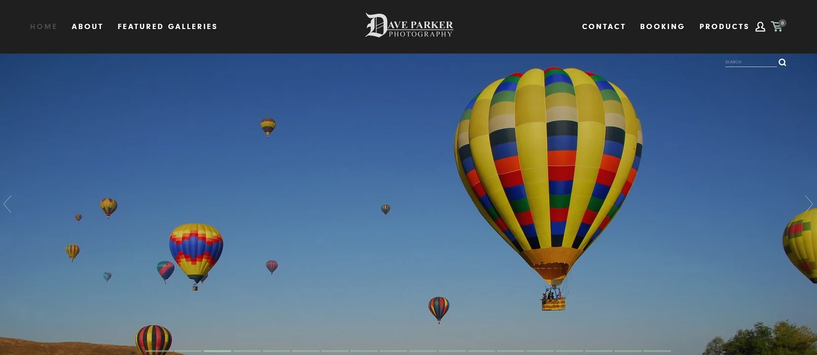 The main page of the client's website.