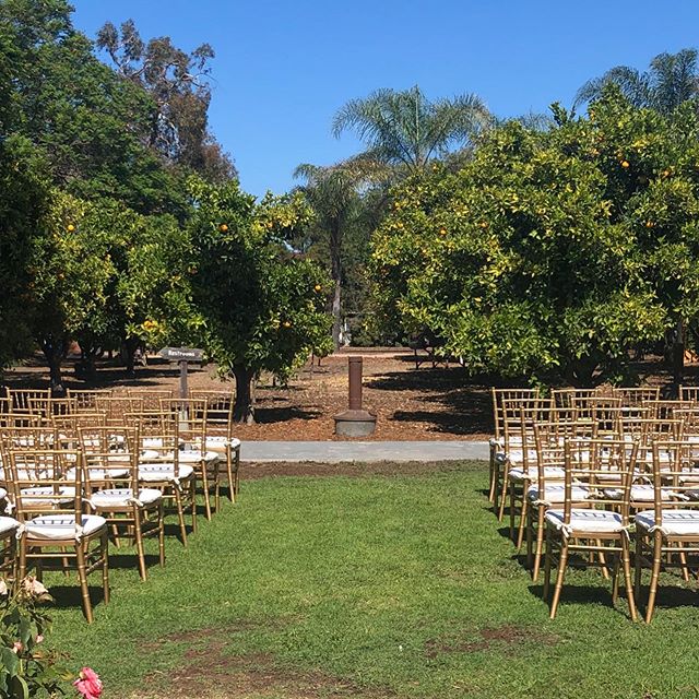 Hayley &amp; Christopher 7/20/19 ❣️First time having ceremony by Orange Grove.....turned out amazing 🍊Two kings tables to fit 100 guests....just another gorgeous day for a wedding🥂
#countrygardencaterers 
#heritagemuseum 
#cateringservice 
#partyre