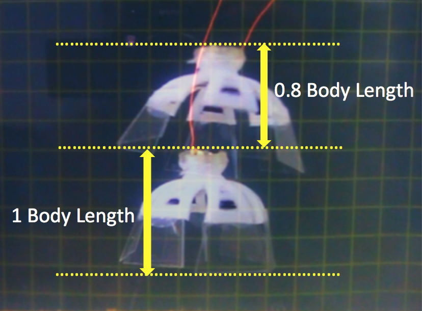 Robotic jellyfish can move 0.8 BL/s