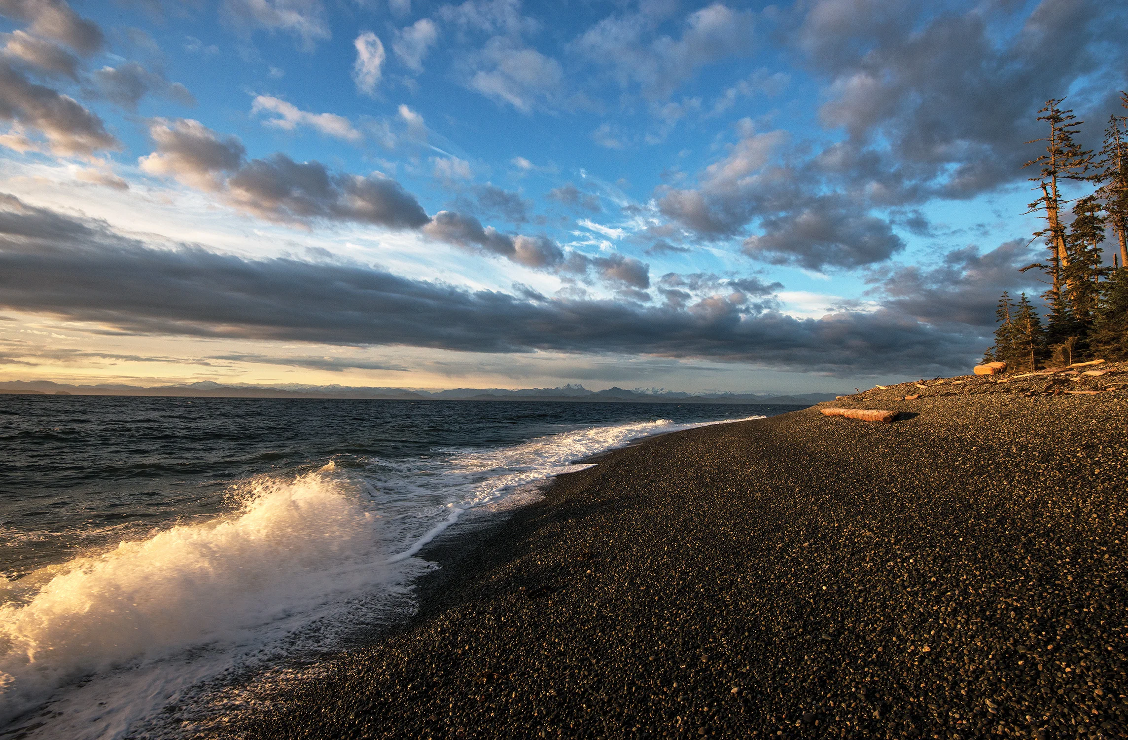 Where The Orca Rub... Sometimes