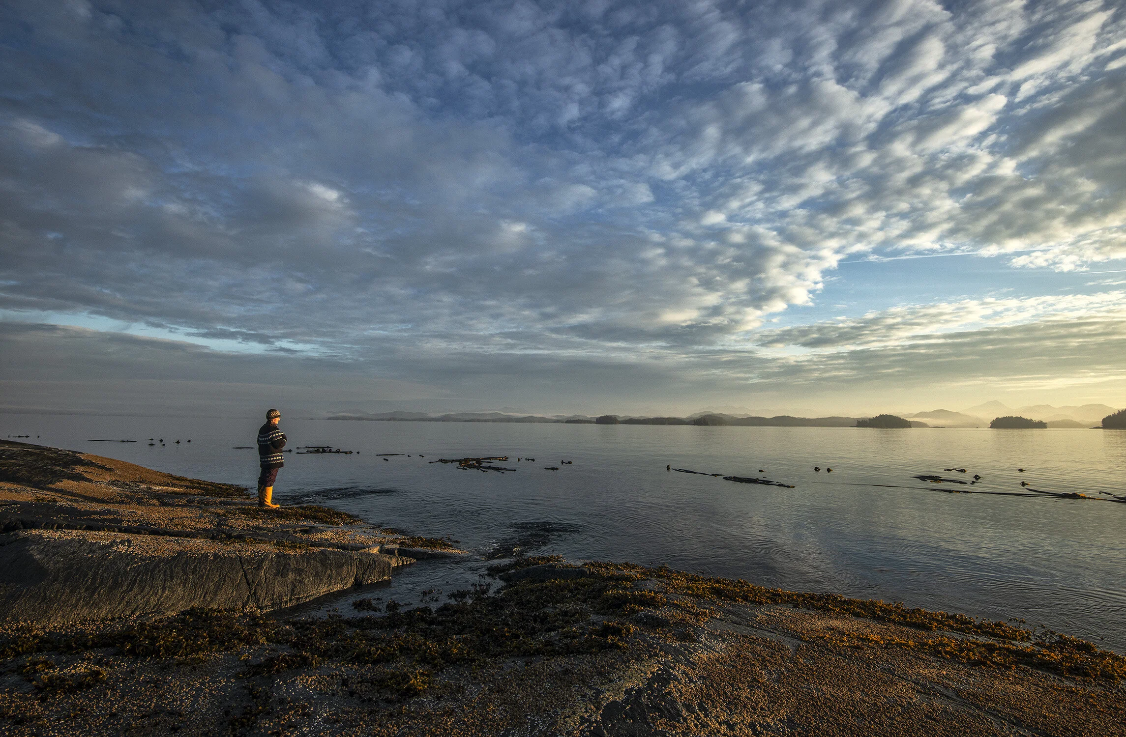 Morning Paradise.JPG