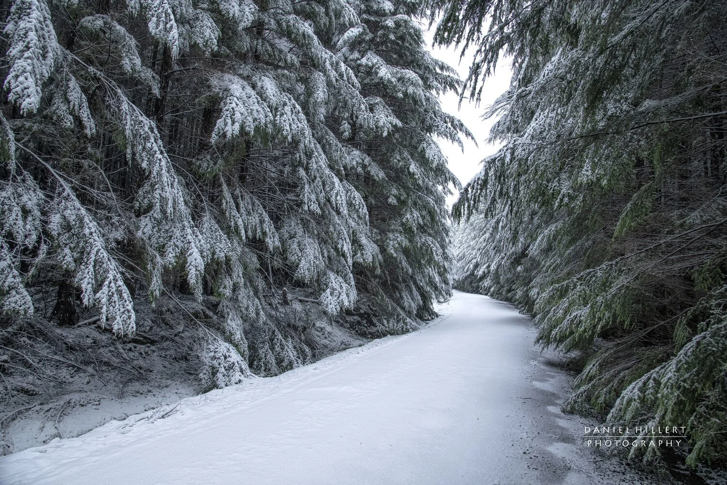 Snowy+Back+Road+Sm.jpg