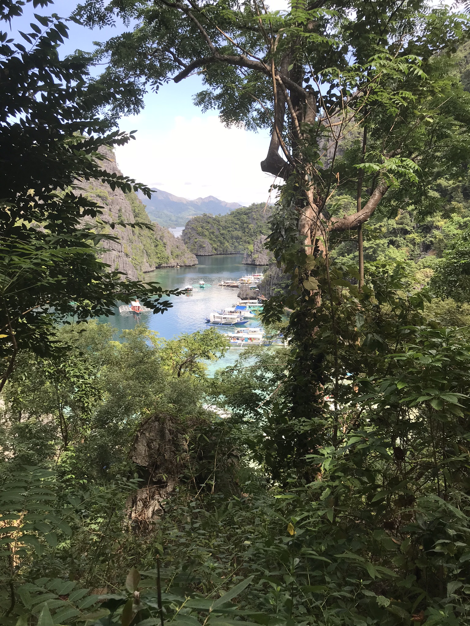 IMG_2575.jpeg
