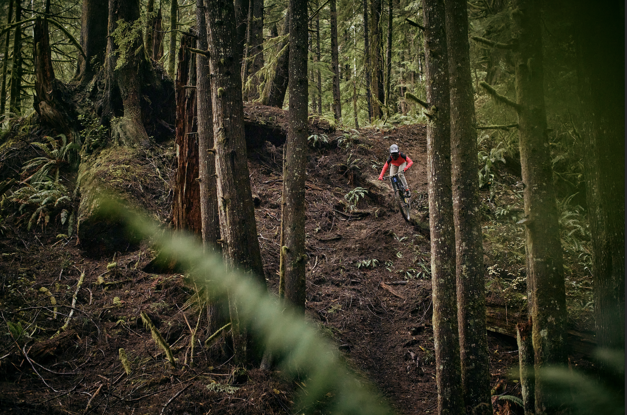 Screen Shot 2023-05-01 at 11.53.41 AM.png