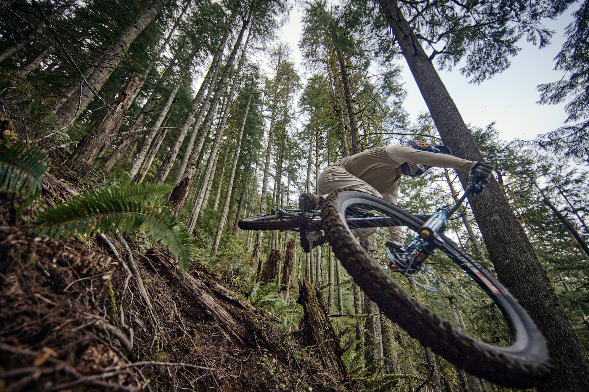 Screen Shot 2023-05-01 at 11.54.06 AM.png