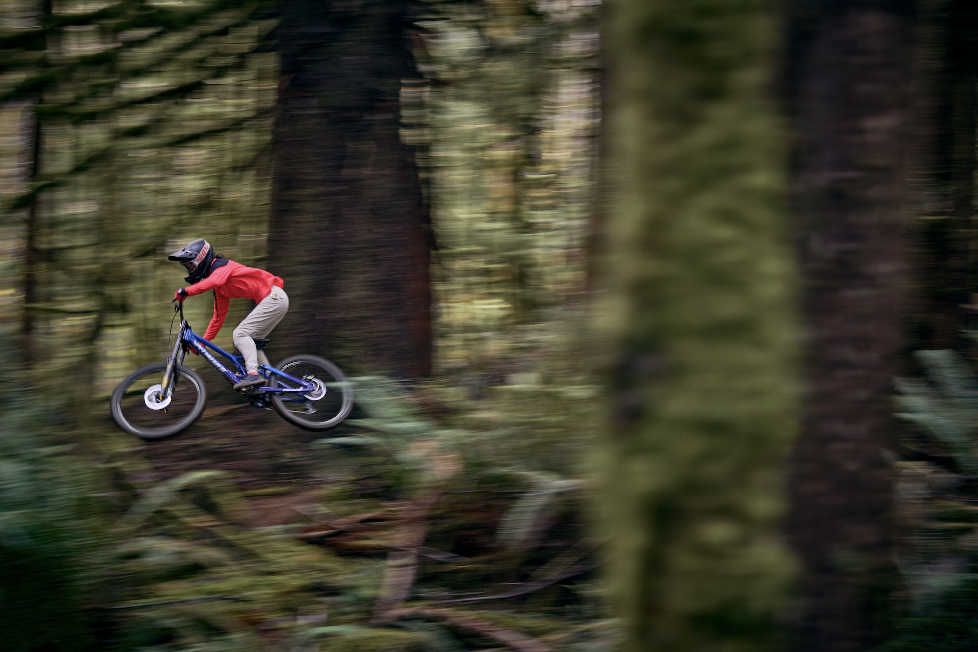 Screen Shot 2023-05-01 at 11.54.20 AM.png