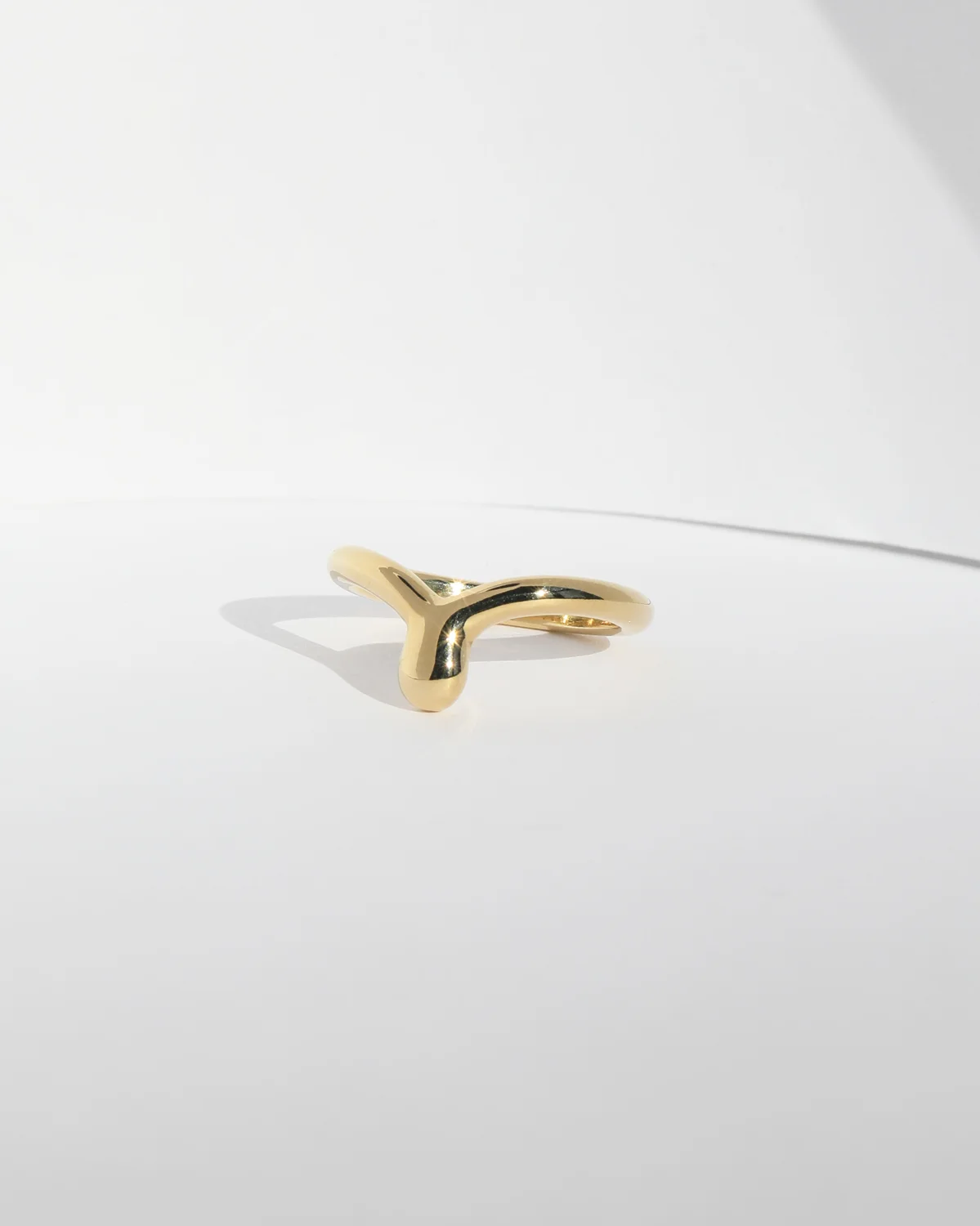 ring_v_bronze_2.jpg