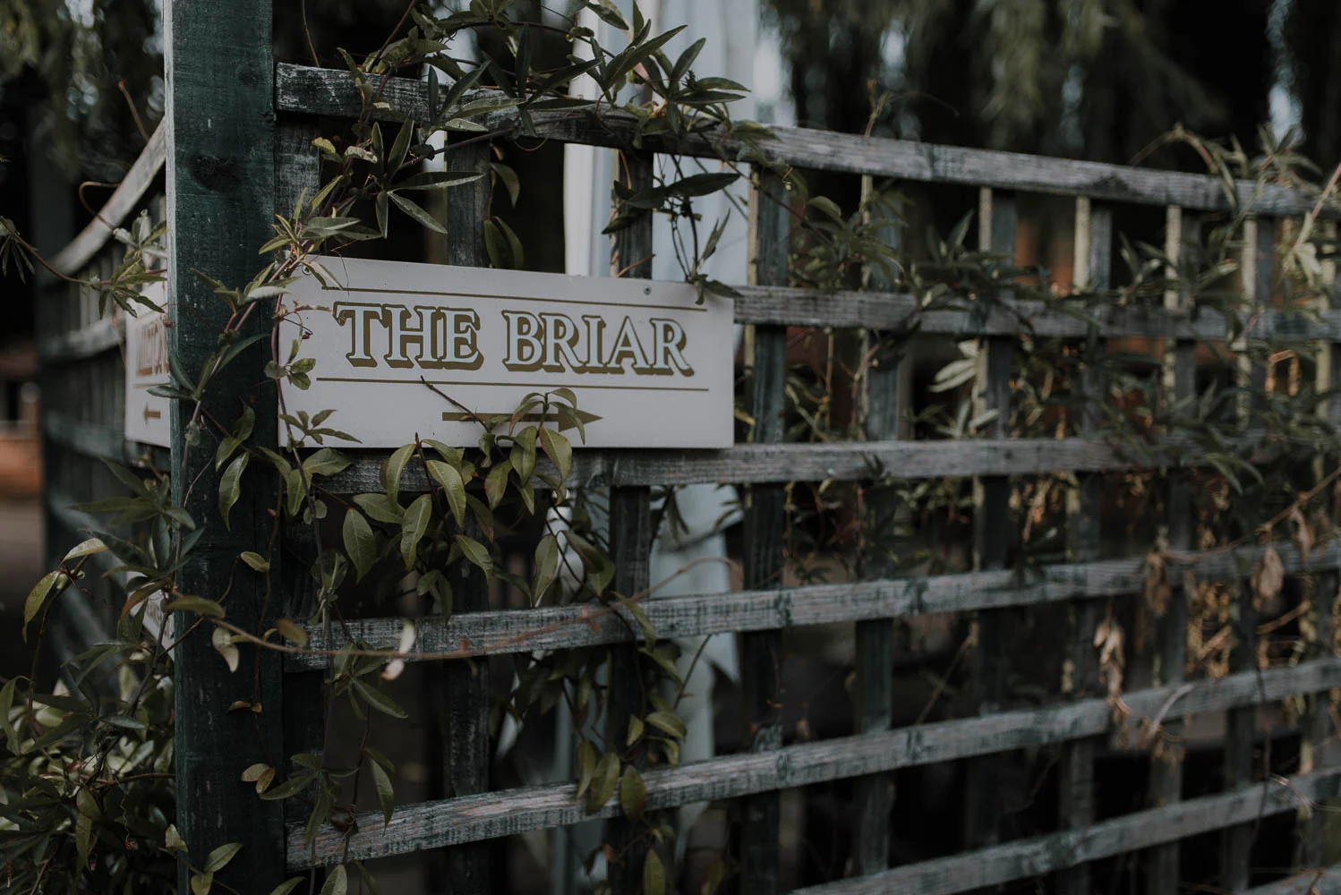 wedding_pictures_Berkshire-27.jpg