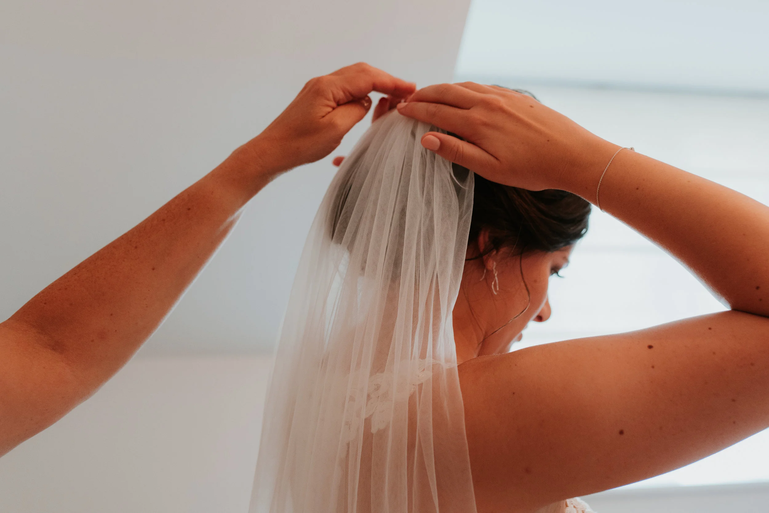 Brides veil Reading