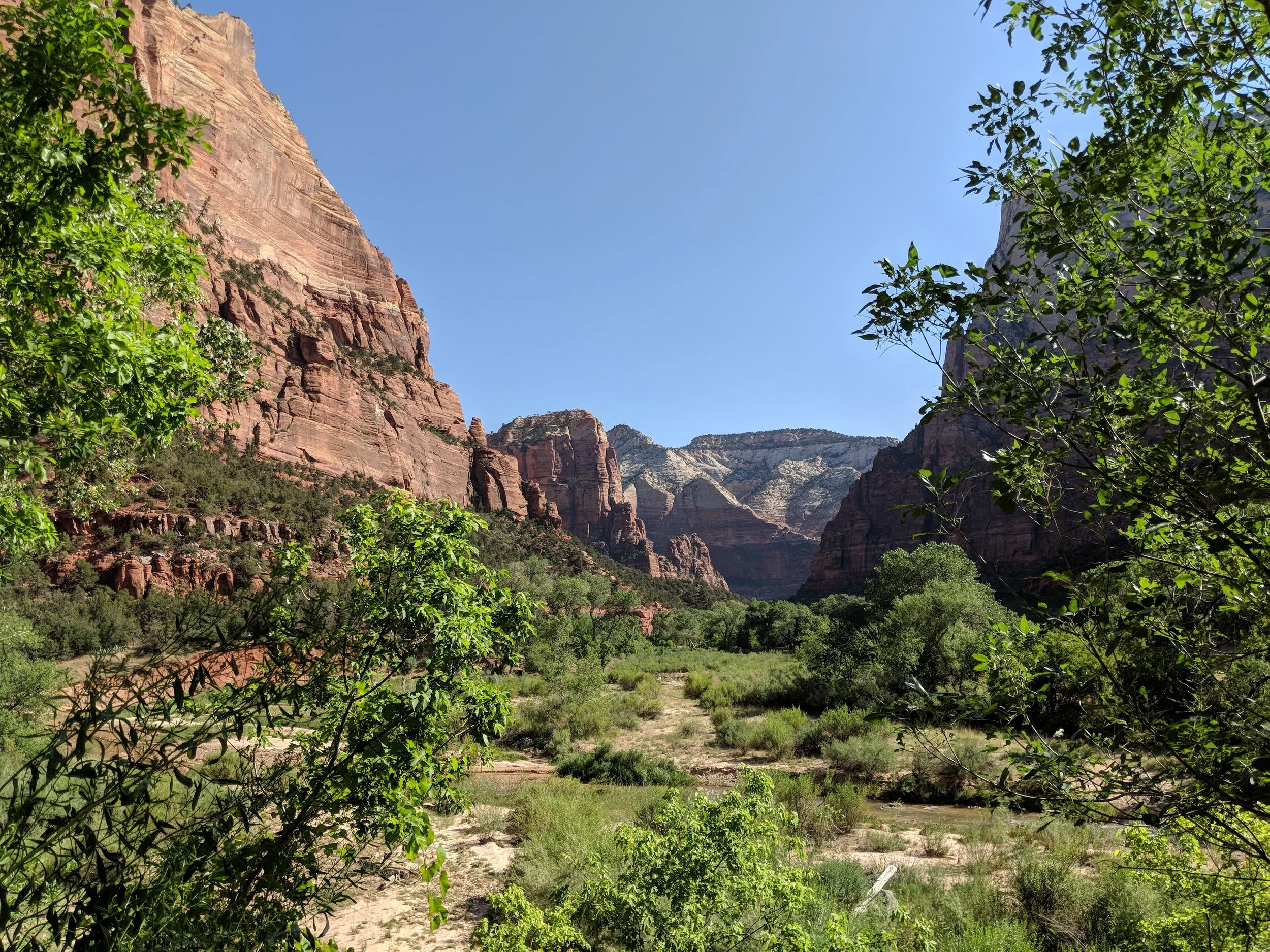 IMG_20180815_101956.jpg
