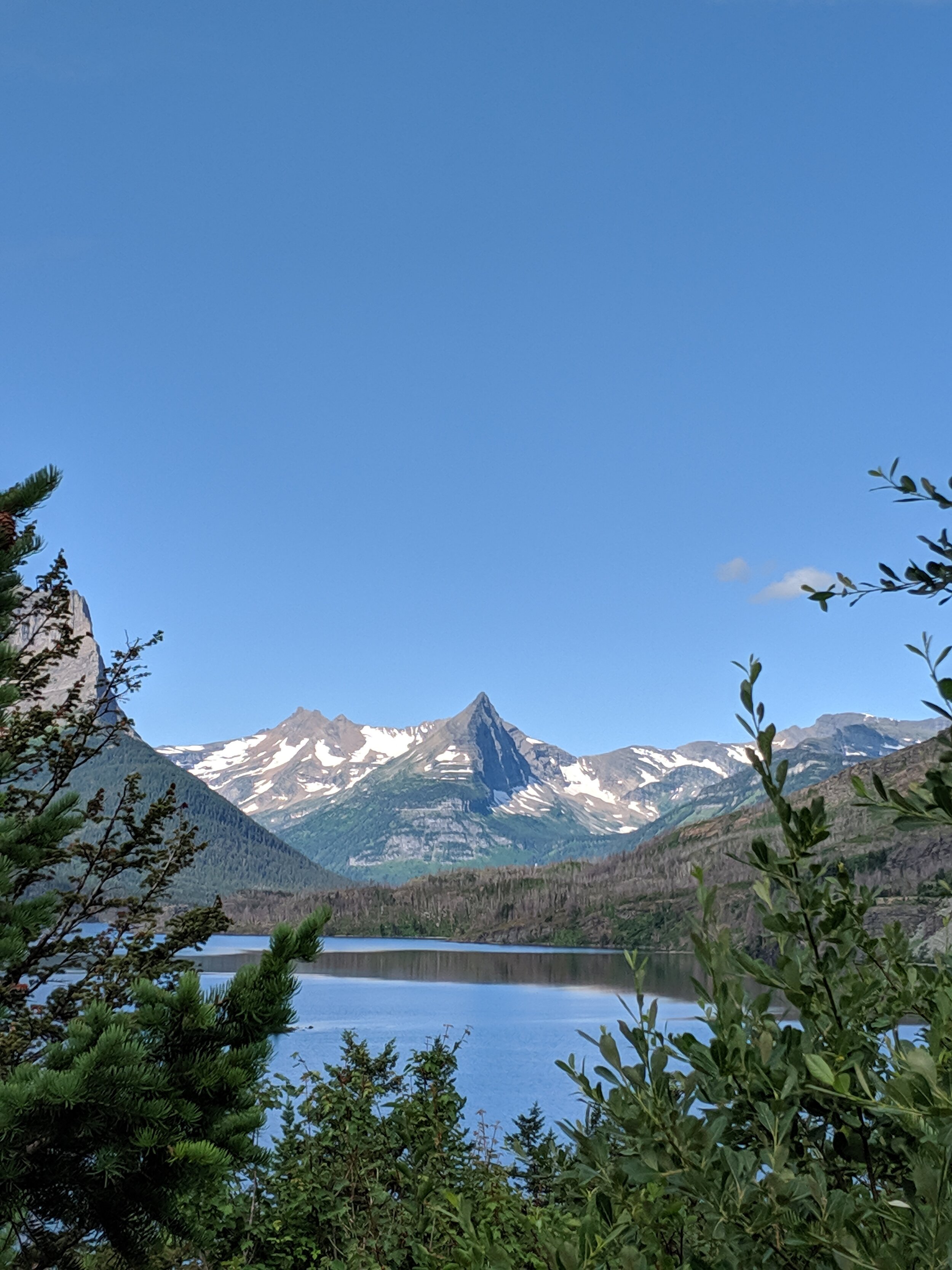 IMG_20190720_093835.jpg