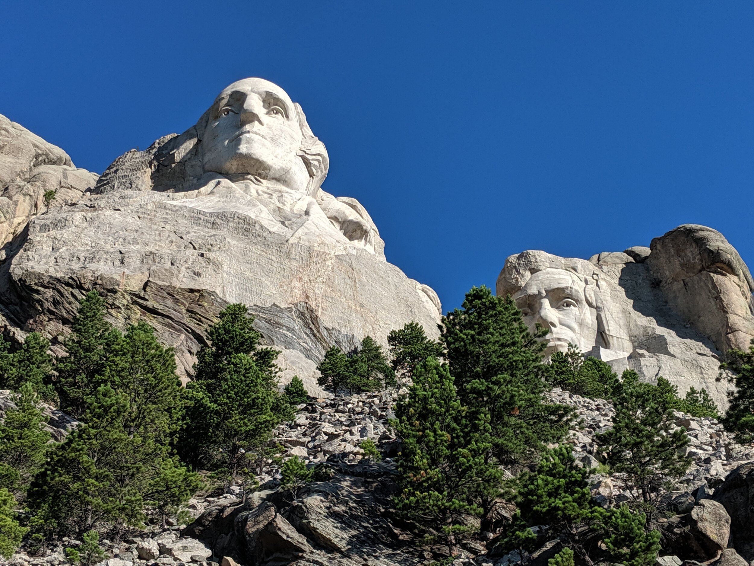 IMG_20190723_074156.jpg