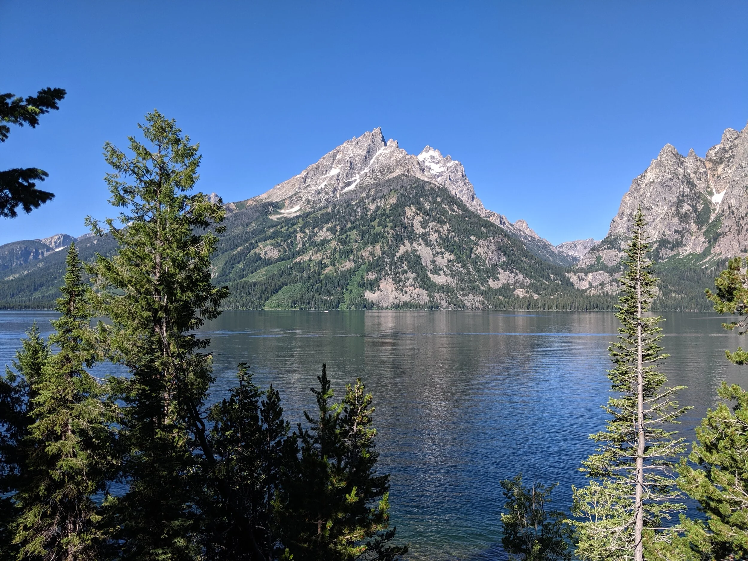 IMG_20190725_092557.jpg
