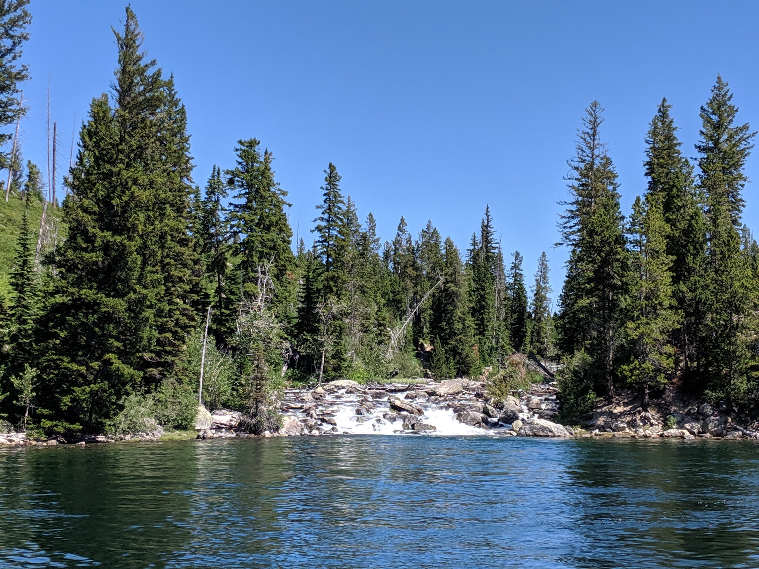 IMG_20190725_114056.jpg