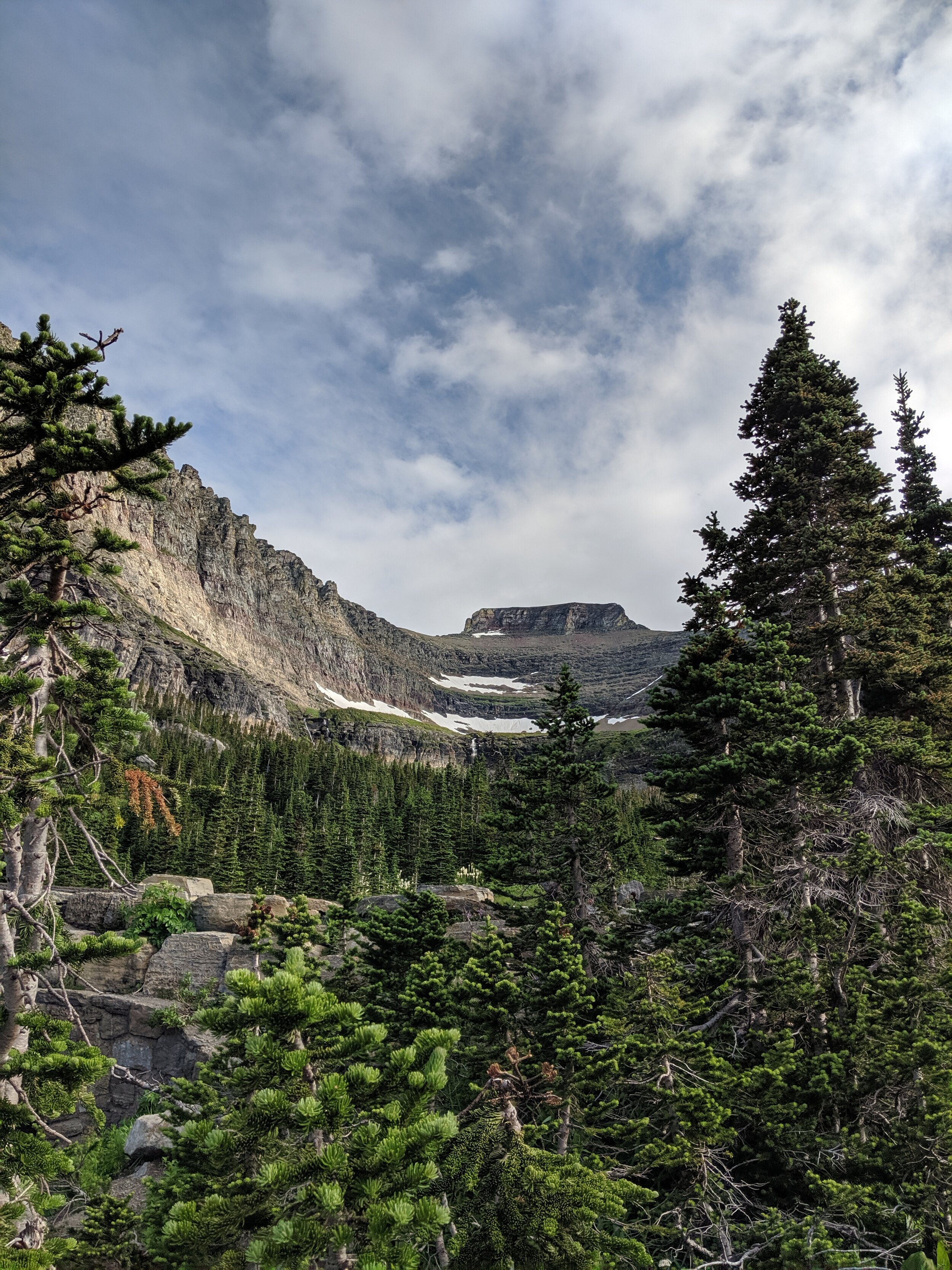 MVIMG_20190720_084444.jpg