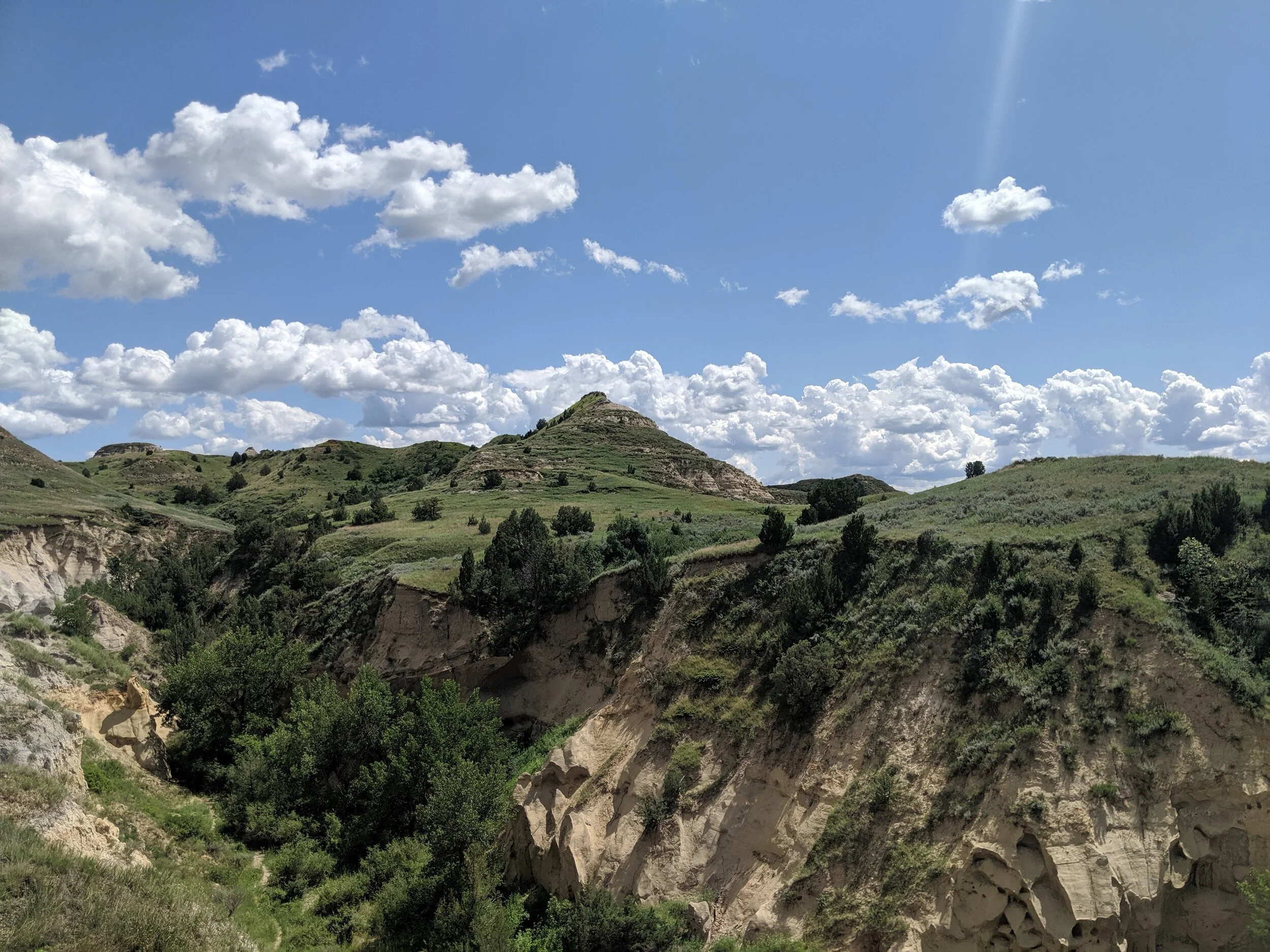 MVIMG_20190721_135958.jpg