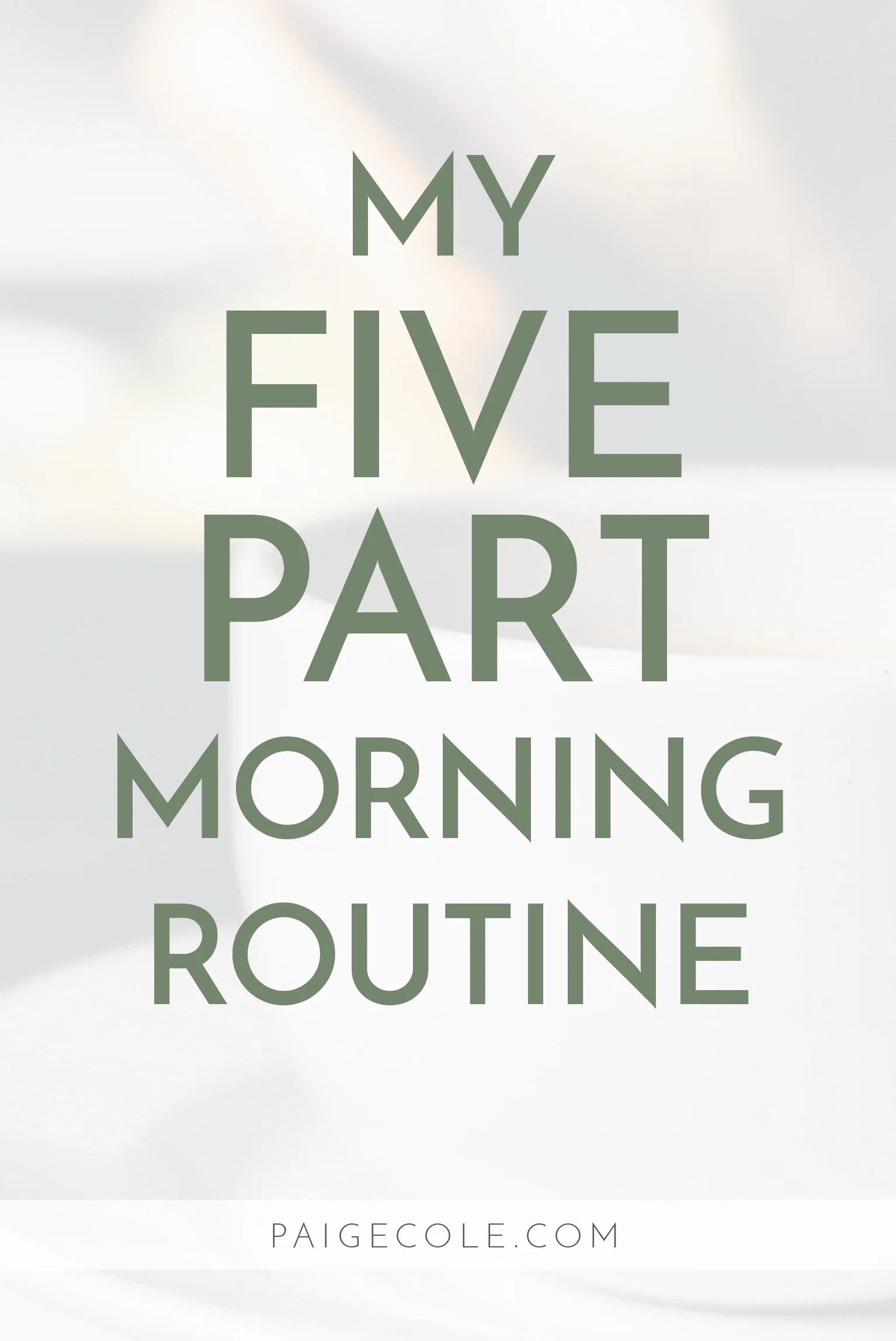 Every morning we wake up is another opportunity to have an awesome day. Here's a glimpse at my 5 Part Morning Routine.