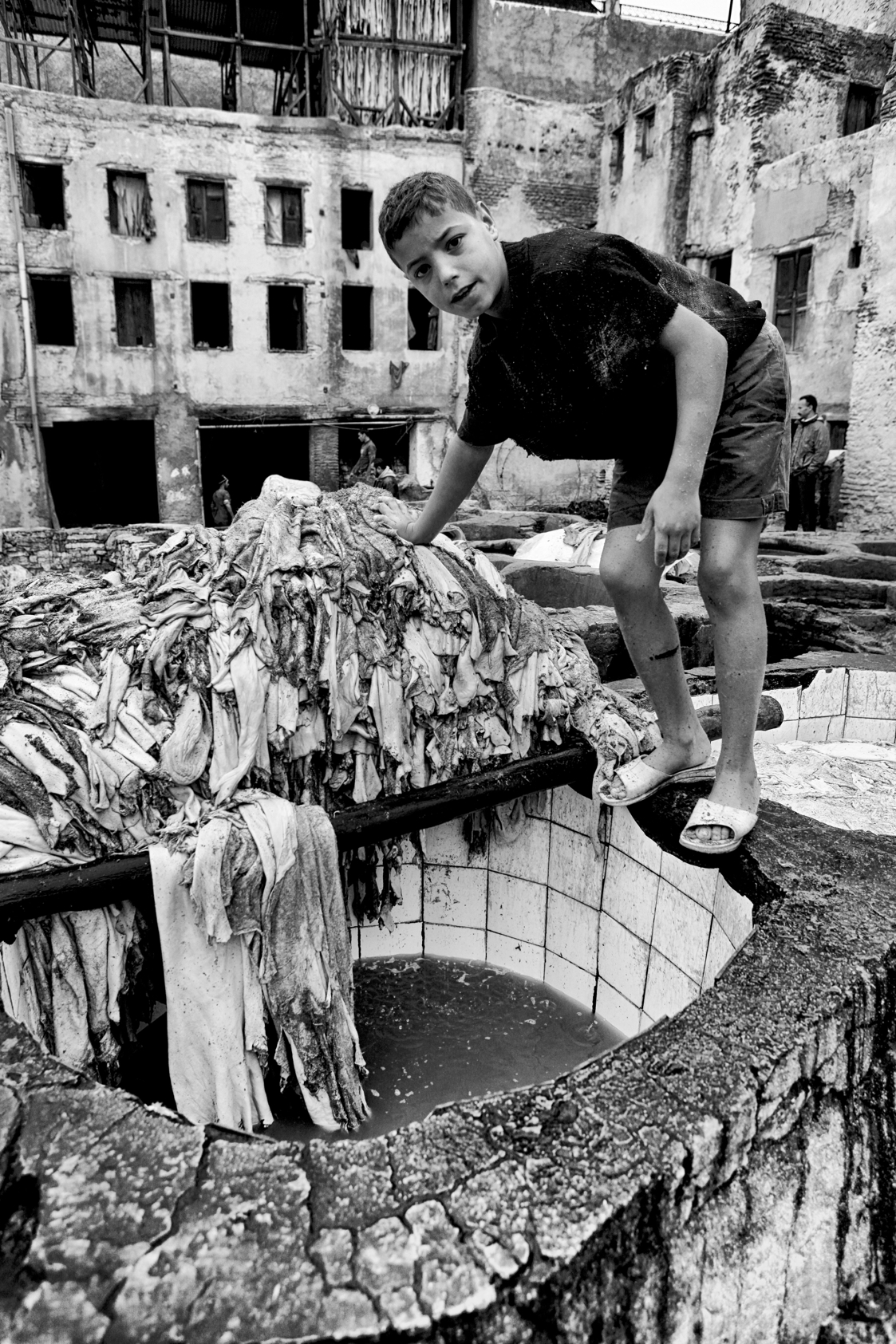  Tannery in the Medina of Fez. Morocco 