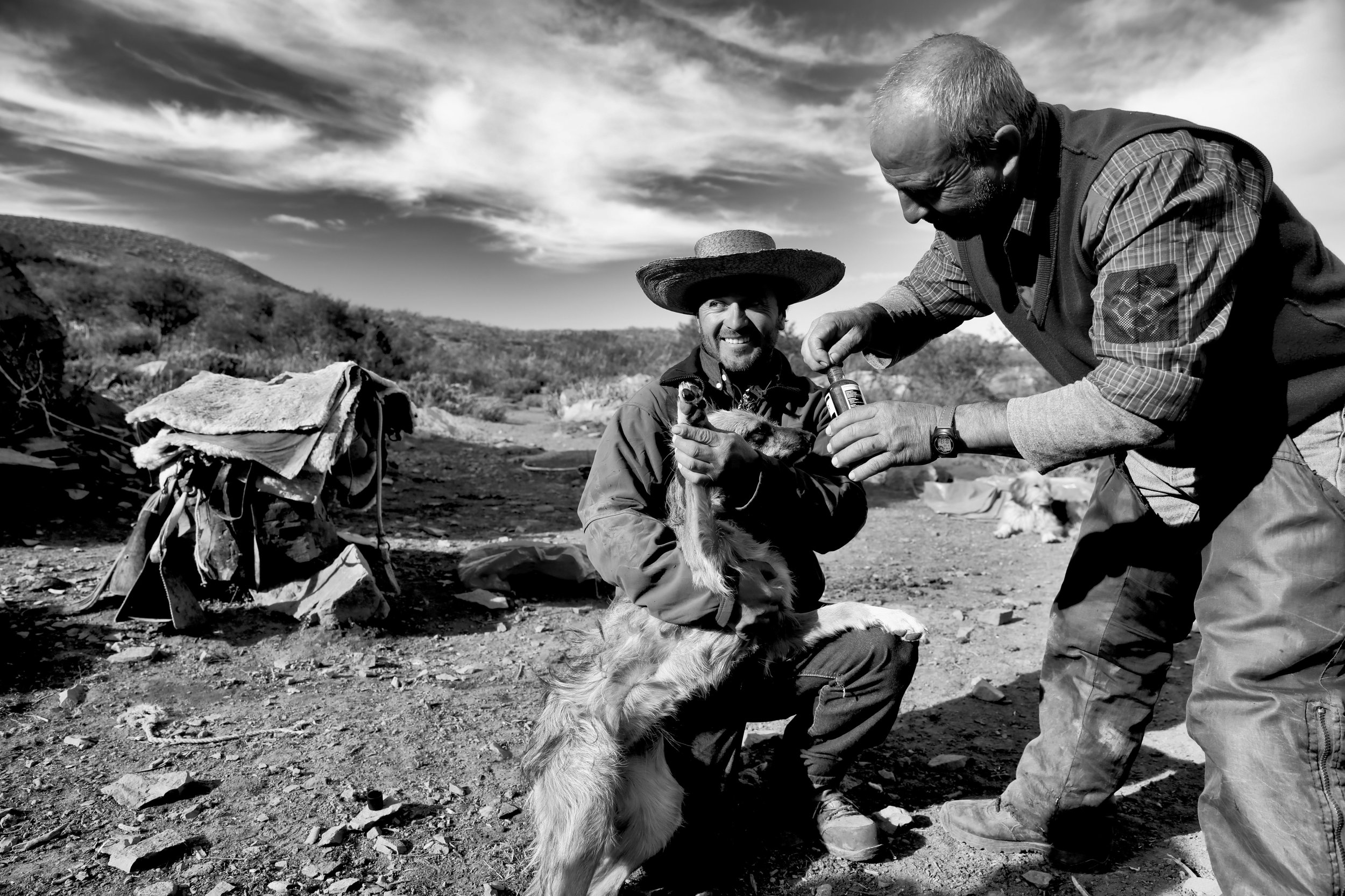  Cowboys in den Anden. Chile  