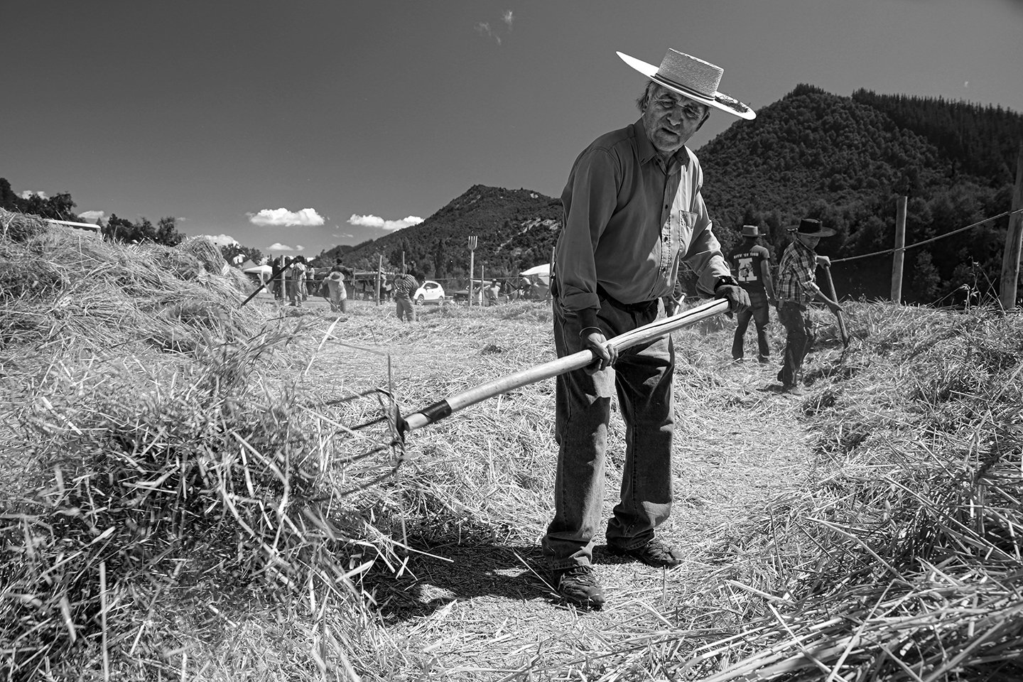 _MG_3695 copia.jpg