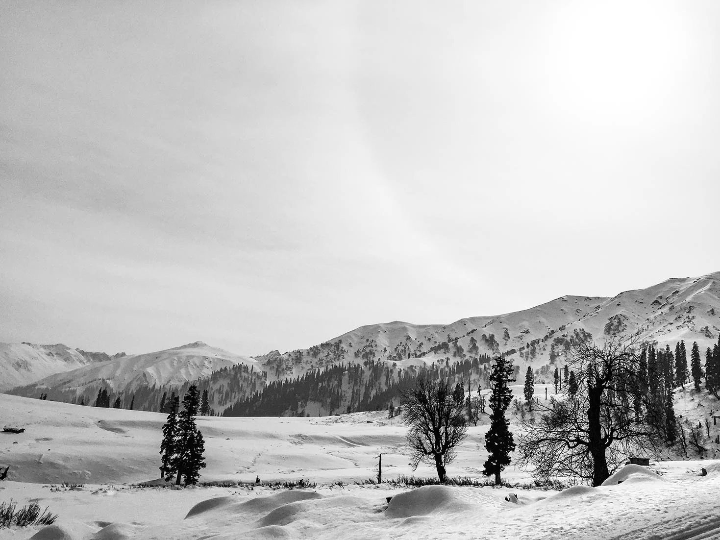 Gulmarg-Submission-5.jpg
