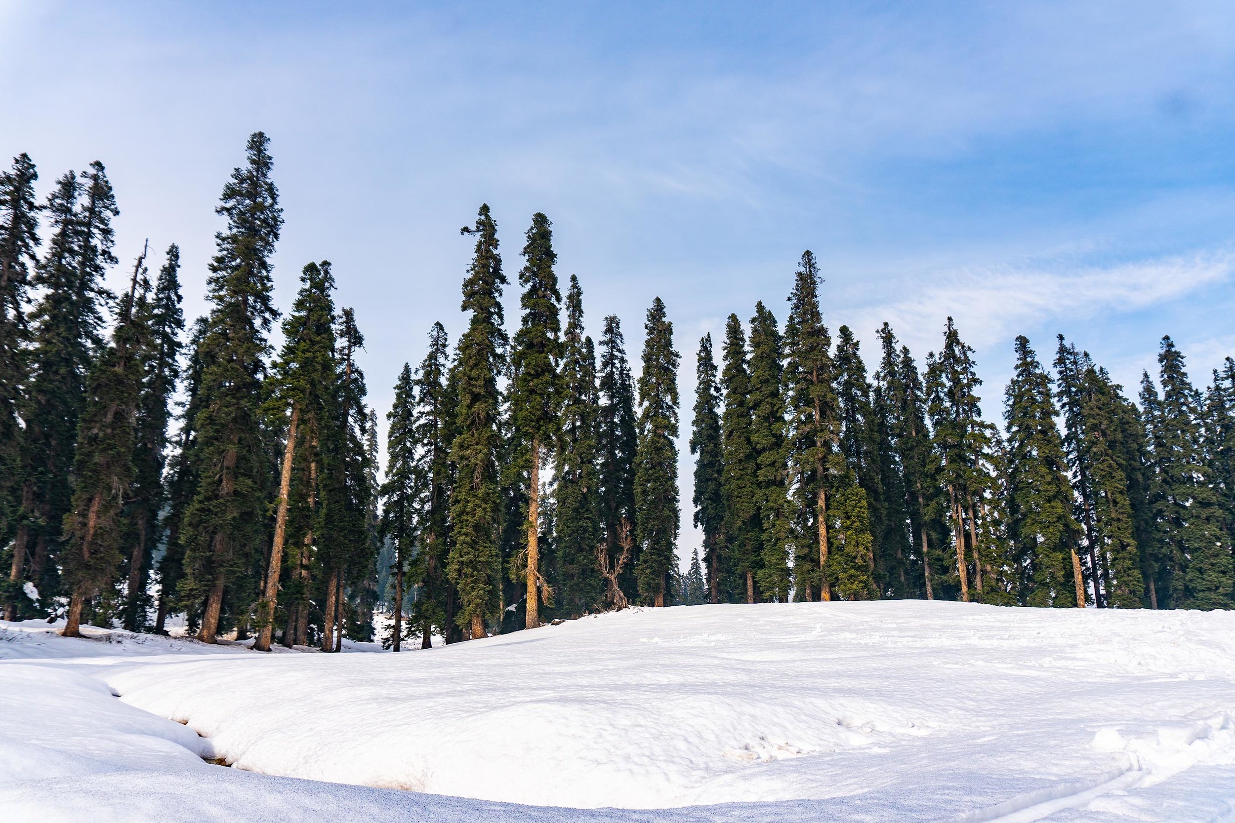 Gulmarg-Submission-4.jpg