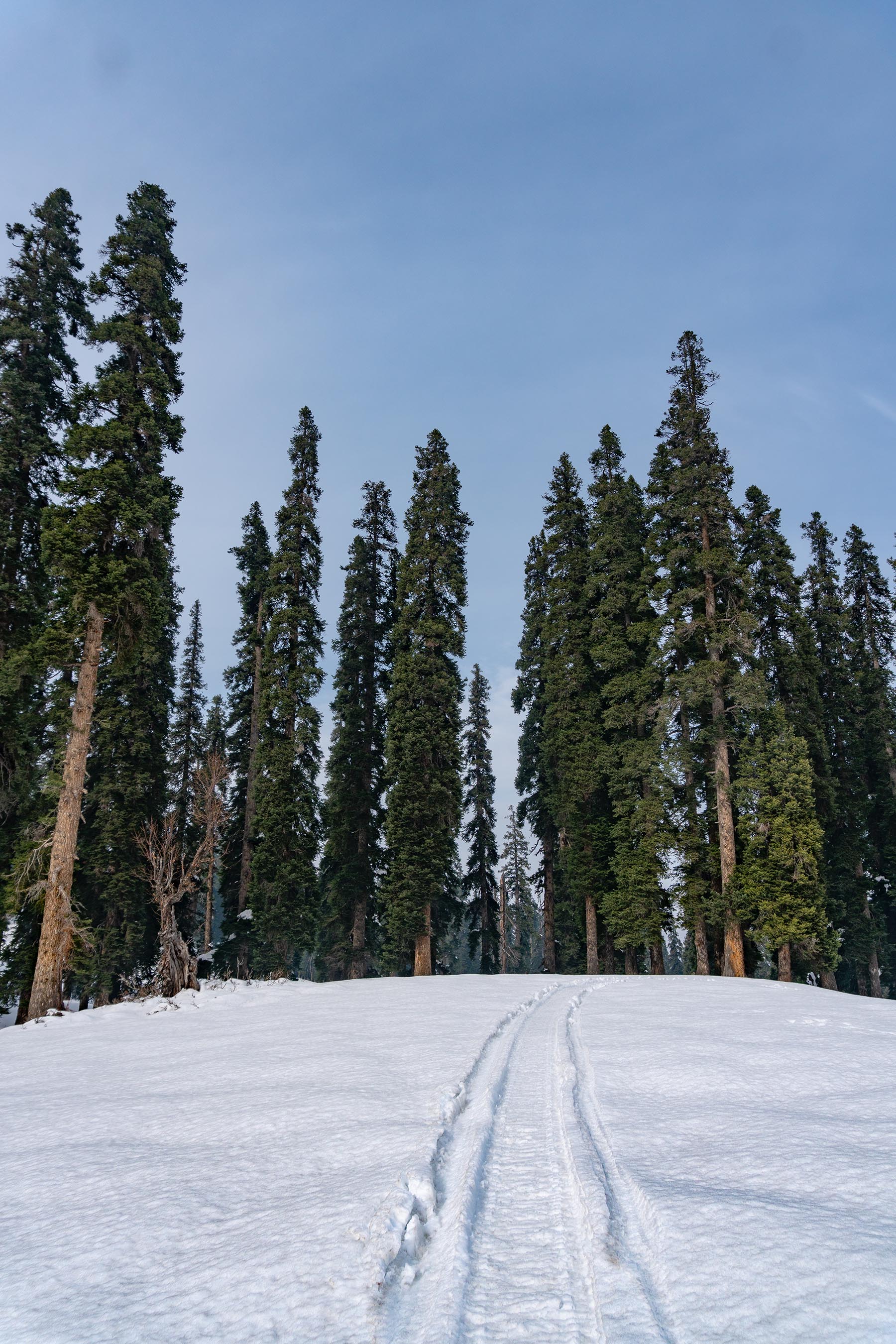 Gulmarg-Submission-6.jpg