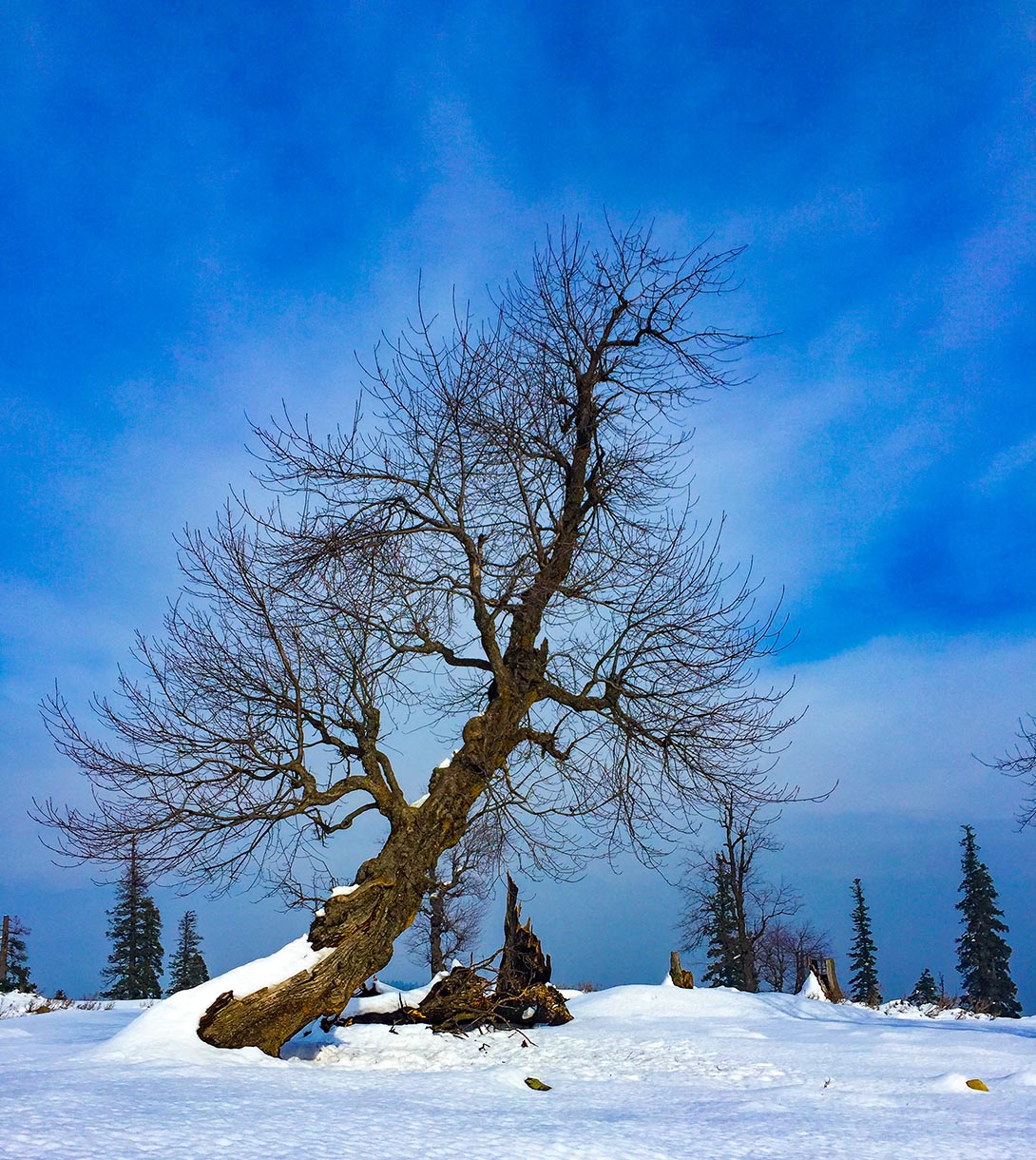 Gulmarg-Submission-20.jpg