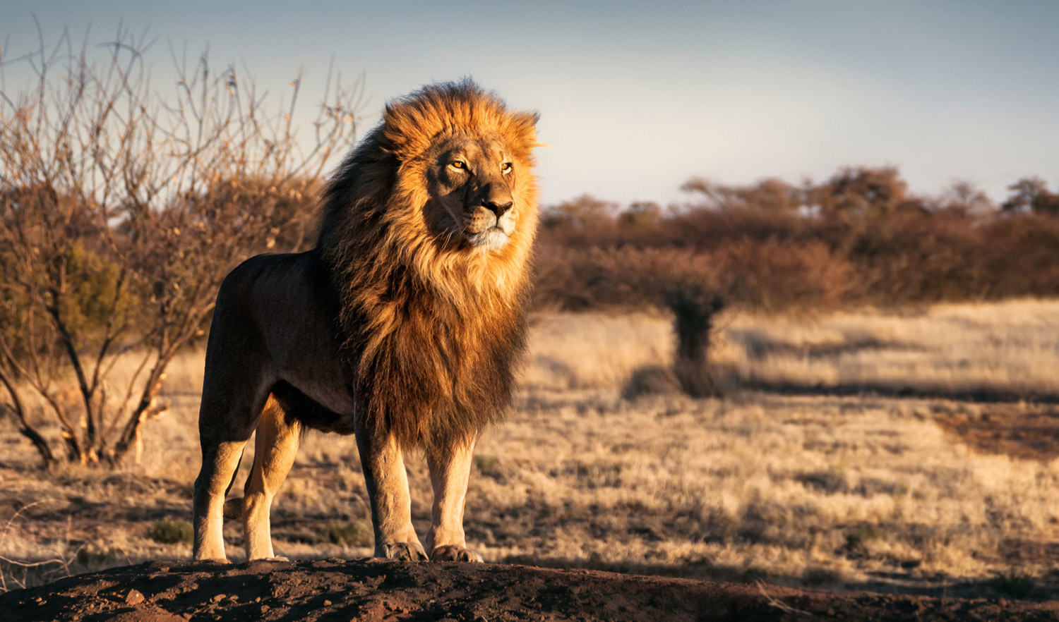 AdobeStock_133275299_smaller.jpg