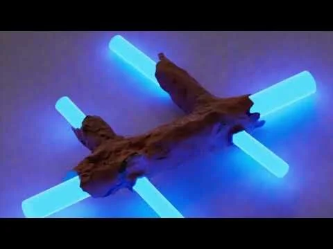 Fragments Of A Monument 2024