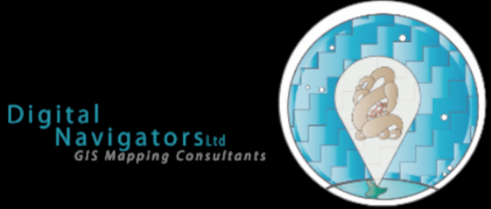 digital navigators logo.png
