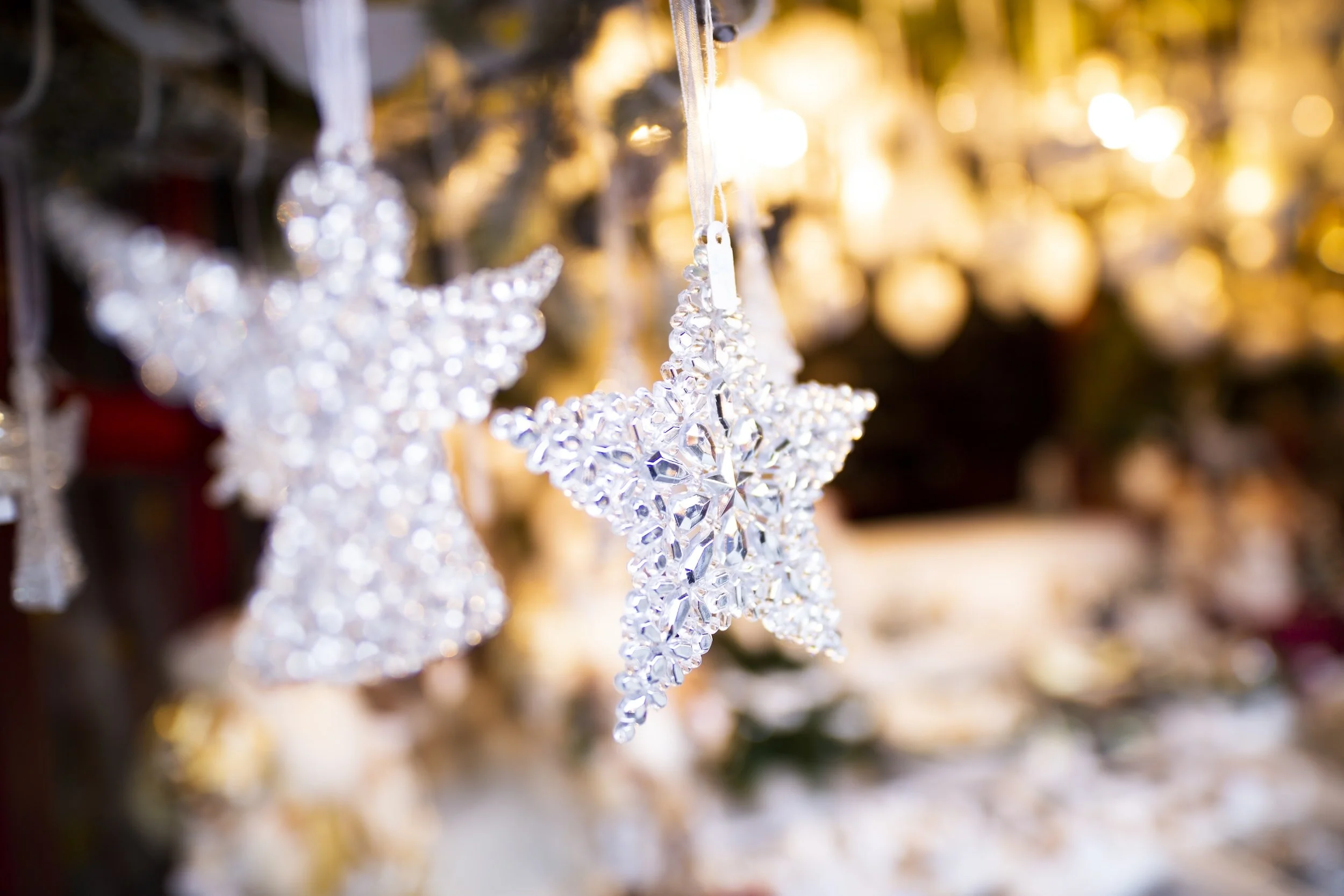 Concentus Sings Christmas in Eastbourne