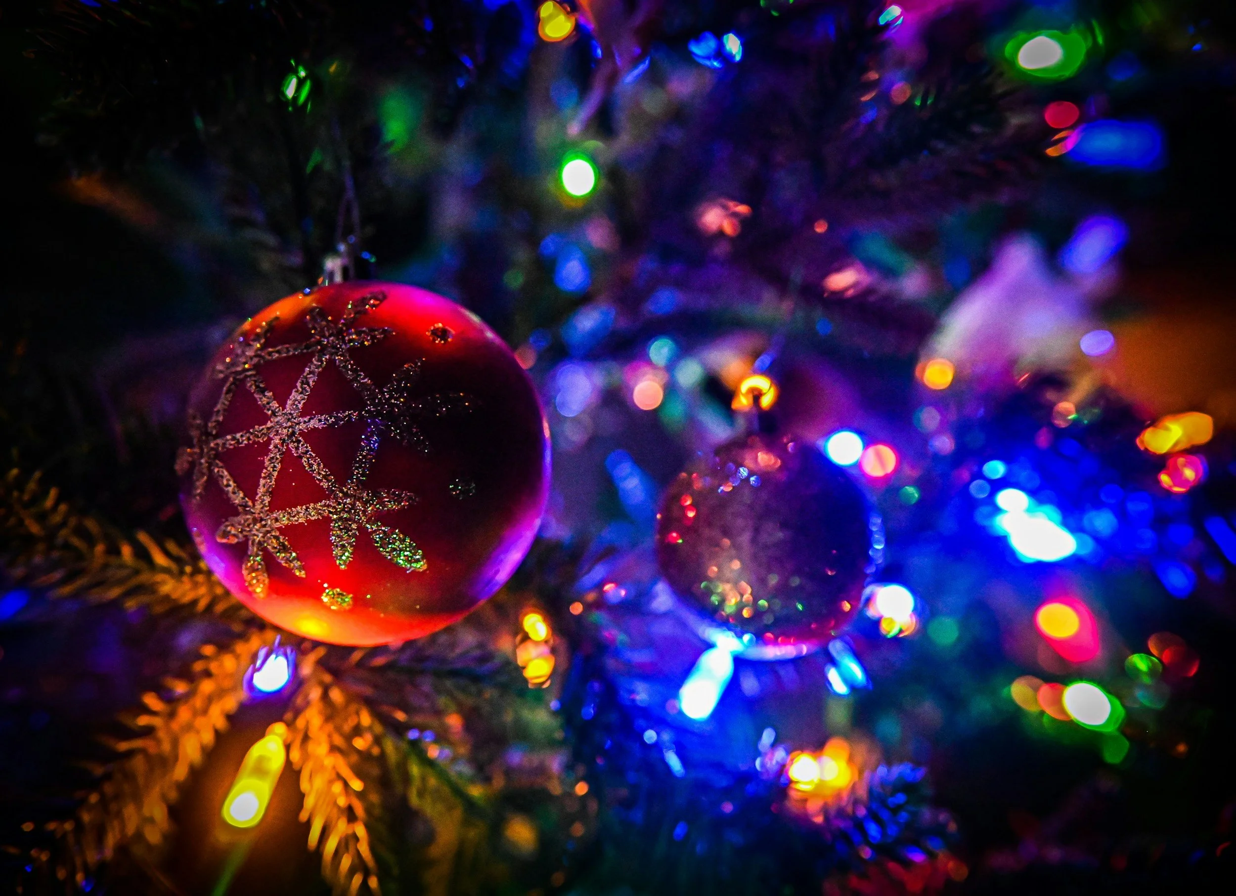 Concentus Sings Christmas - Eastbourne