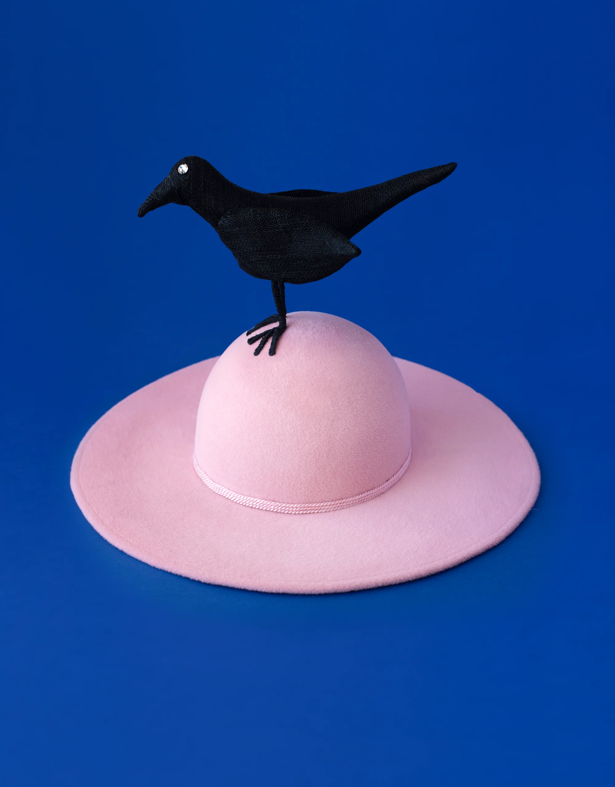 MM18_Maître-corbeau_02.jpg