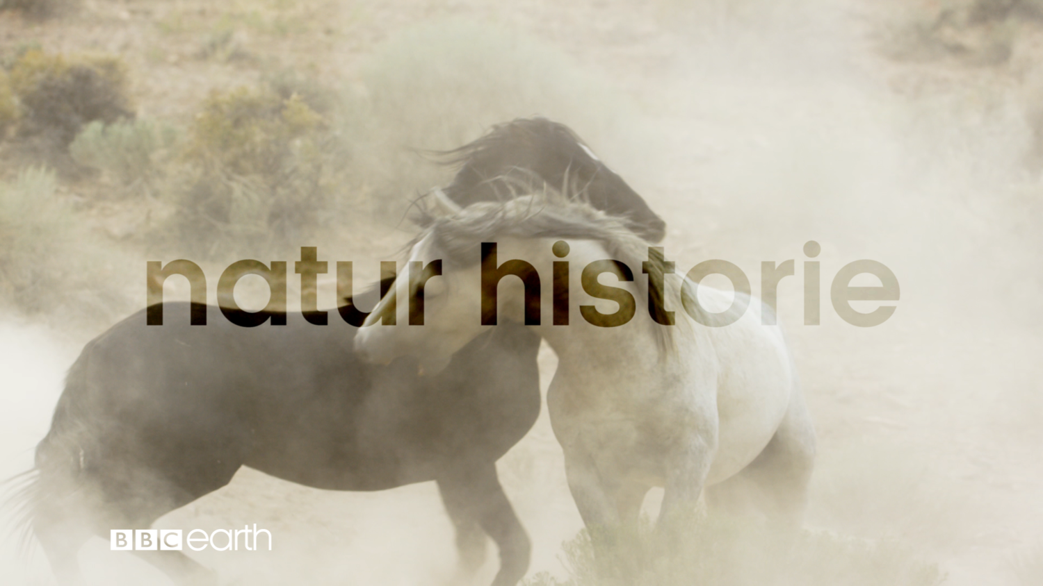 NATURAL HISTORY - (NORWEGIAN) 45"