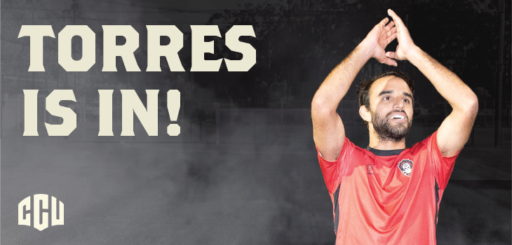 torres-banner.png