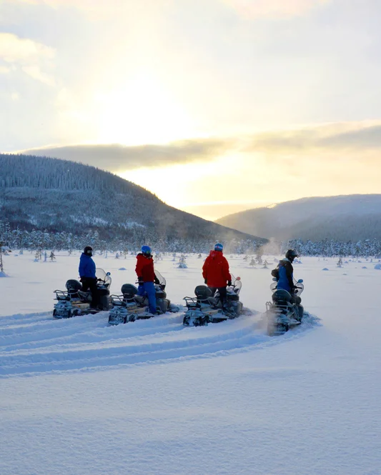 SKOTERSAFARI Turen bjuder både på vacker utsikt och spännande åkupplevelser. Du kör din egen skoter, men vi följer en guide. En storslagen och oförglömlig upplevelse. Under turen gör vi flera stopp för förarbyte så att alla får prova på. Innan turen har vi en grundlig genomgång – alla kan köra skoter. Körkortskrav.