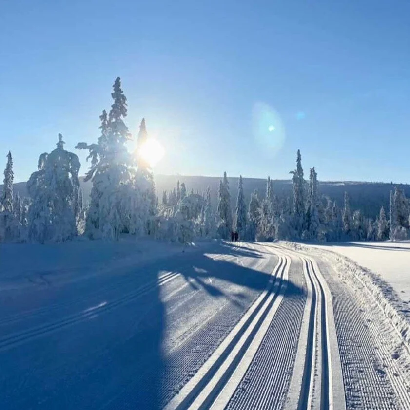 Teknikläger med Vasasvahn 8-11/1 2026