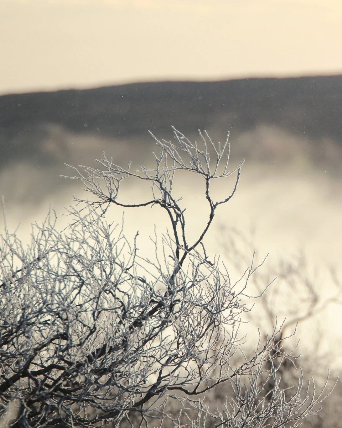 V&auml;lkommen, otroliga november ❄️
M&aring;naden d&aring; fj&auml;llet sakta kl&auml;r sig i vitt, veden sprakar i kaminen och vi b&ouml;rjar k&auml;nna pirret inf&ouml;r en ny vinter h&auml;r p&aring; Gammelg&aring;rden.
Den 27:e b&ouml;rjar vi se