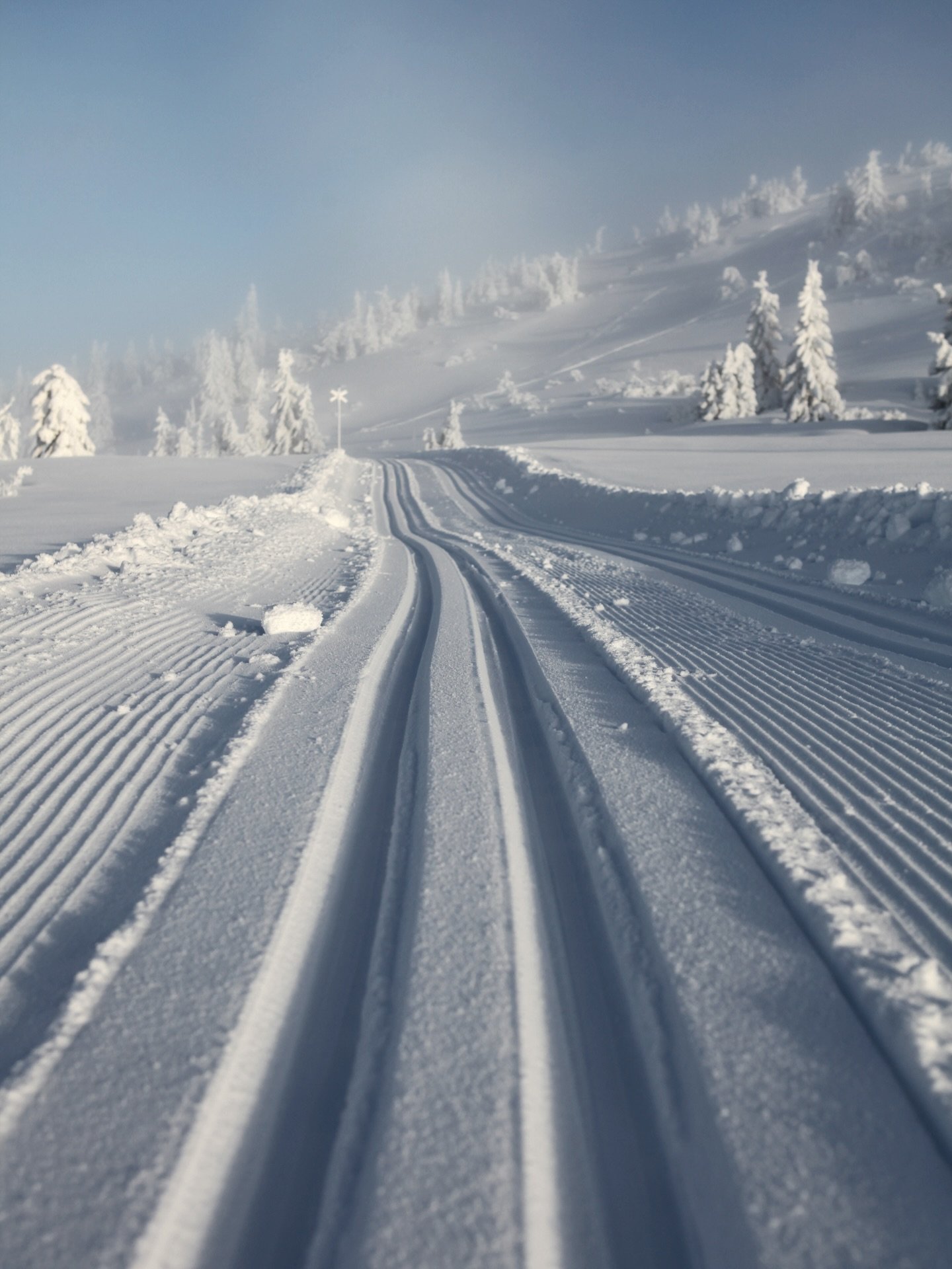 H&auml;r kommer mer av skidl&auml;gret Top of the line 15-18 januari ❄️ 

&Aring;rets maxade skidhelg d&auml;r bland annat stj&auml;rnkocken Melker Andersson &auml;r med oss!

Platserna g&aring;r &aring;t s&aring; in och l&auml;s mer om helgen och bo