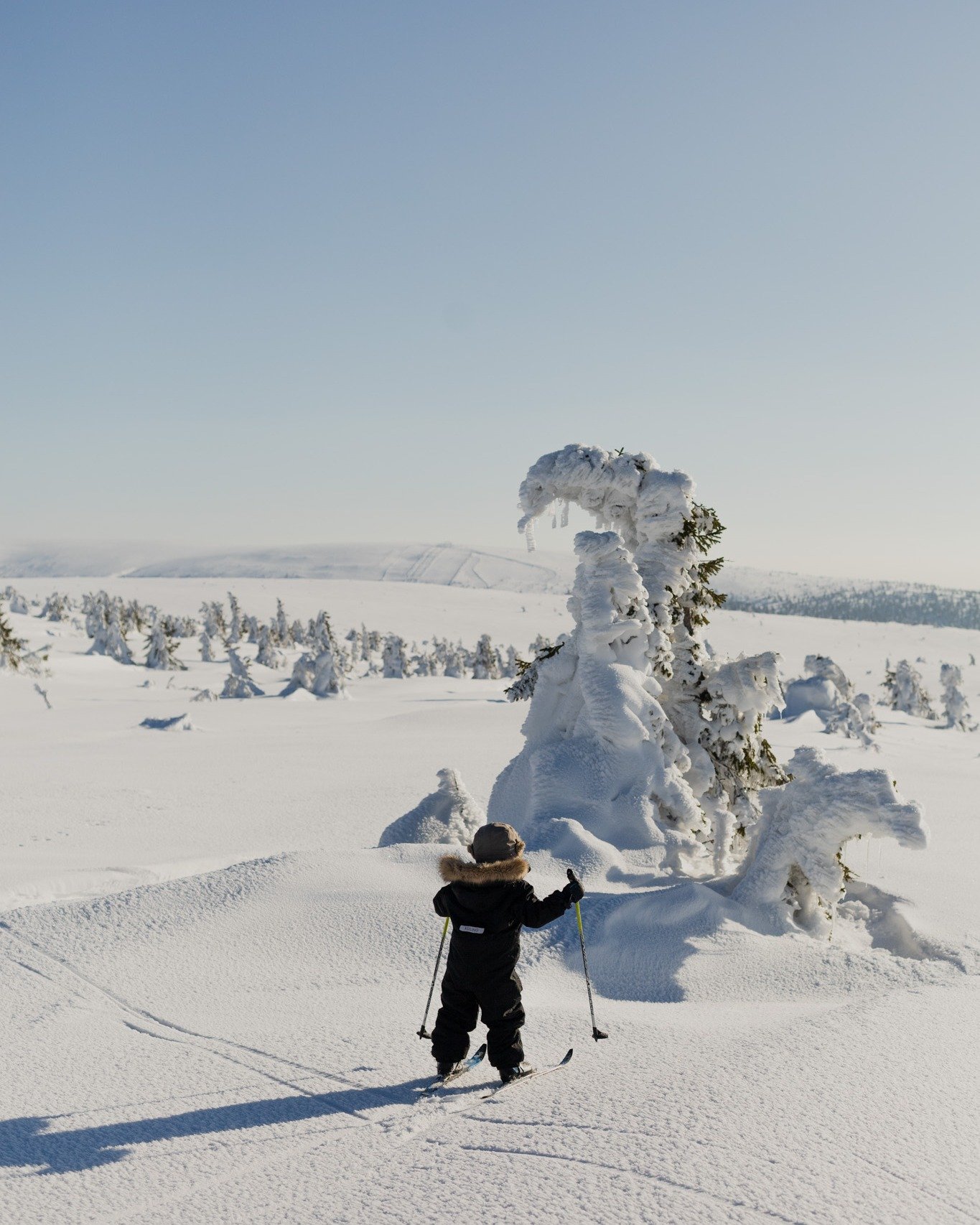 Sportlov handlar om enkla &amp; riktigt bra fj&auml;lldagar!

Rakt &ouml;ver v&auml;gen v&auml;ntar b&aring;de hundspann, skotersafari och d&auml;rifr&aring;n finns ocks&aring; transportliftar och dagsutflykter till v&aring;ffelstugor p&aring; fj&aum